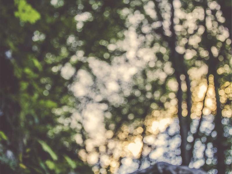 攻壳机动队<br>aamotnk.cn 素子Ghost探寻